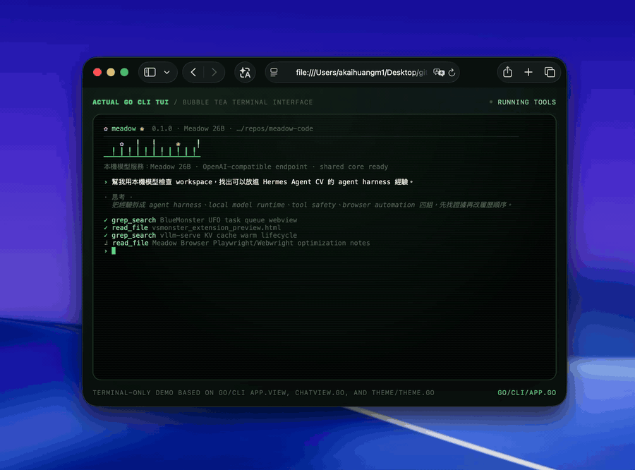 Meadow CLI running local coding and validation tasks